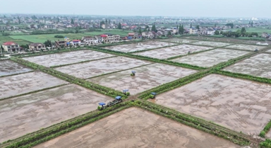 无人驾驶农机助力洞庭湖畔春耕作业